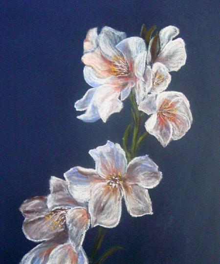 Mille et une �motions...